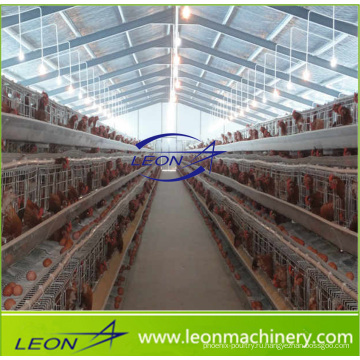Система кормления птицы в клетке серии Leon в горячей продаже